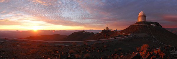 LucyTTu Profile Banner