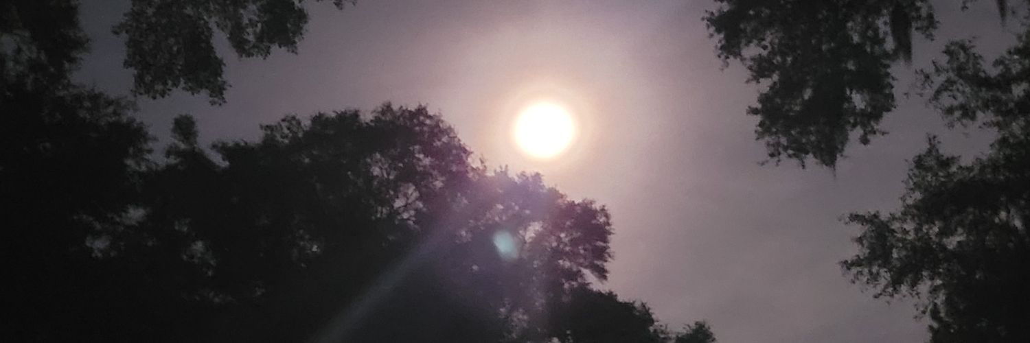 MrSwaggaRude's profile banner image