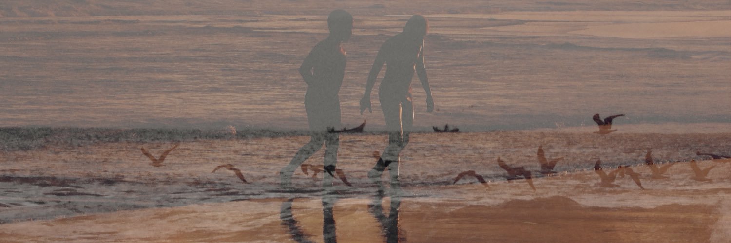 vitoriawaltrich's profile banner image