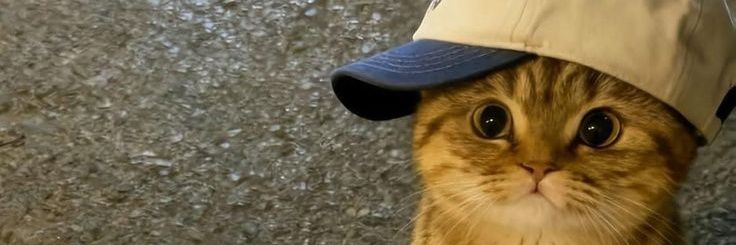 satriafrd's profile banner image