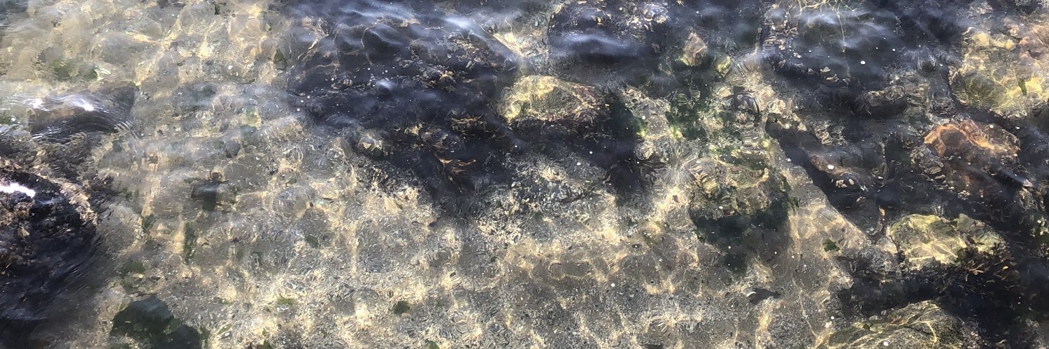 jesbek's profile banner image