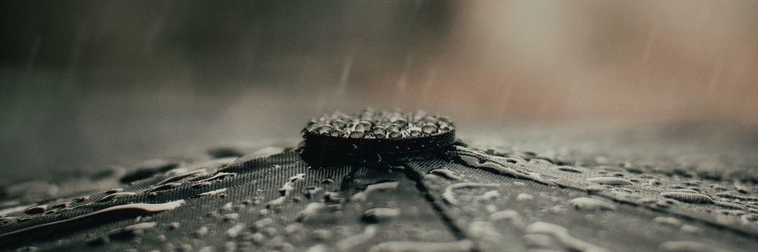 binidh's profile banner image