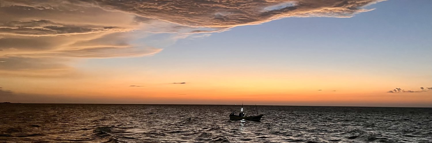PauTavares's profile banner image