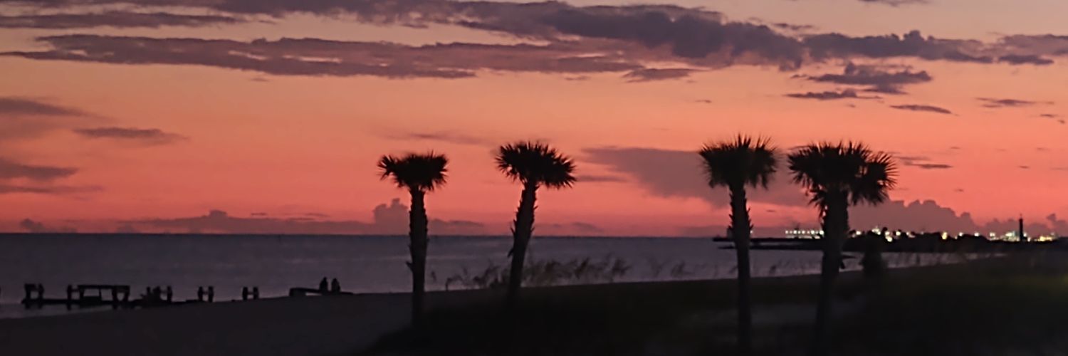 Emily_S88's profile banner image