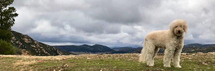 Kate_Hart17's profile banner image