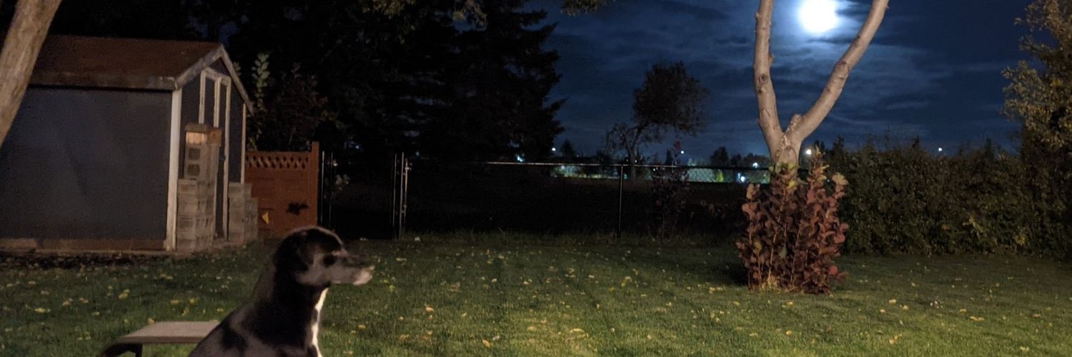 Batven's profile banner image