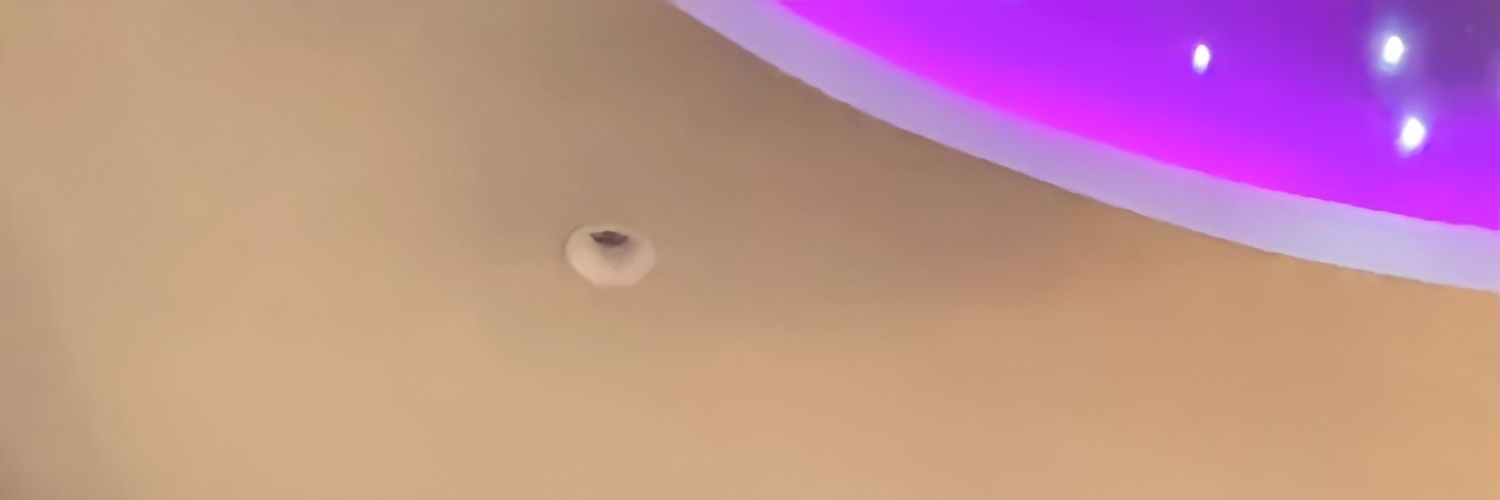 _woozilog's profile banner image