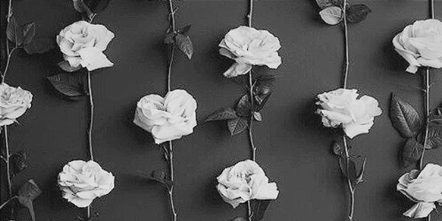 Thereee_ZC's profile banner image