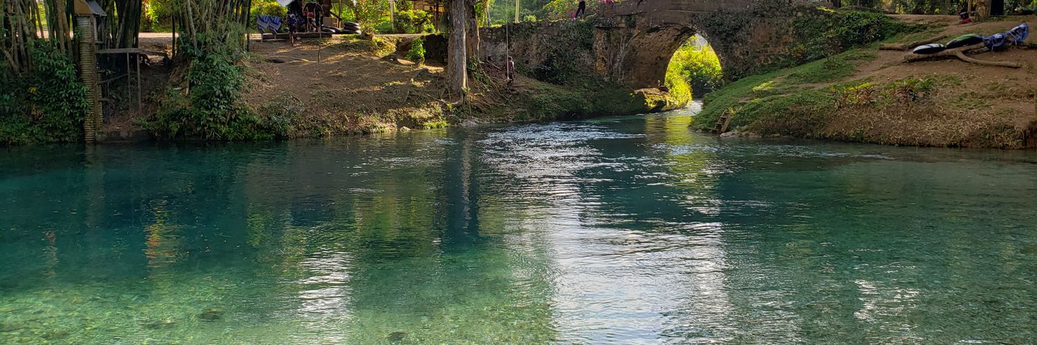 Ripe Plantain banner