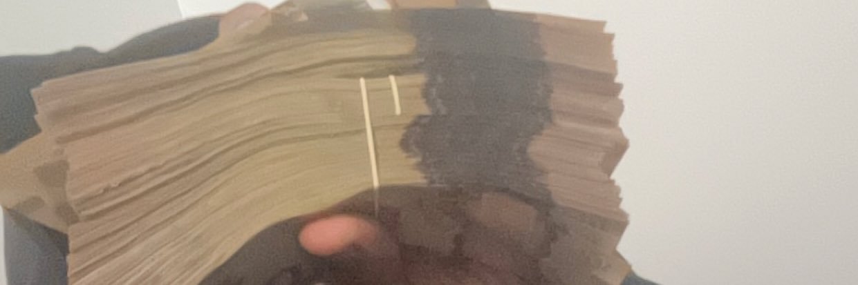 newsimsamehustle banner