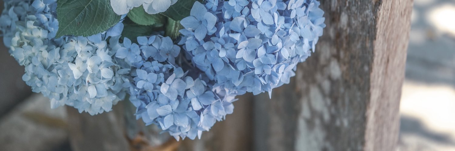 Axh1ey_'s profile banner image