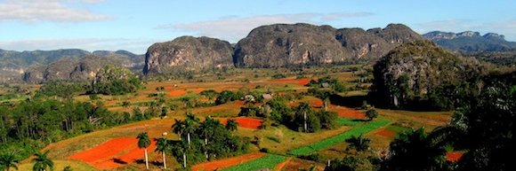Ydael Pérez Brito banner