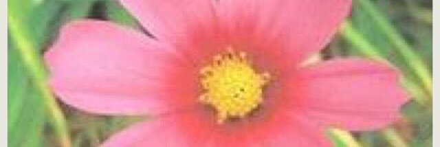 S_cameron830109's profile banner image