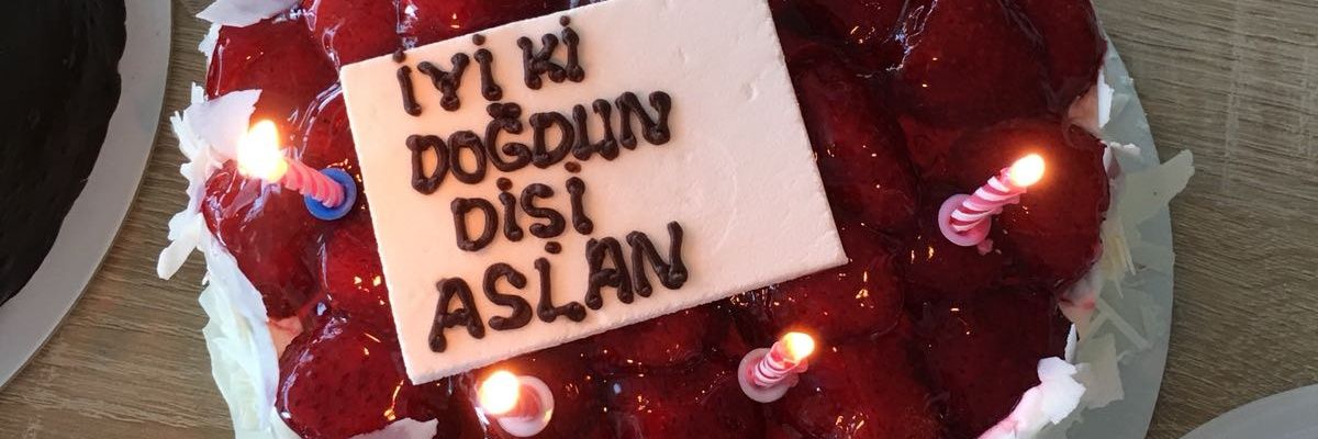 gulsenardali's profile banner image