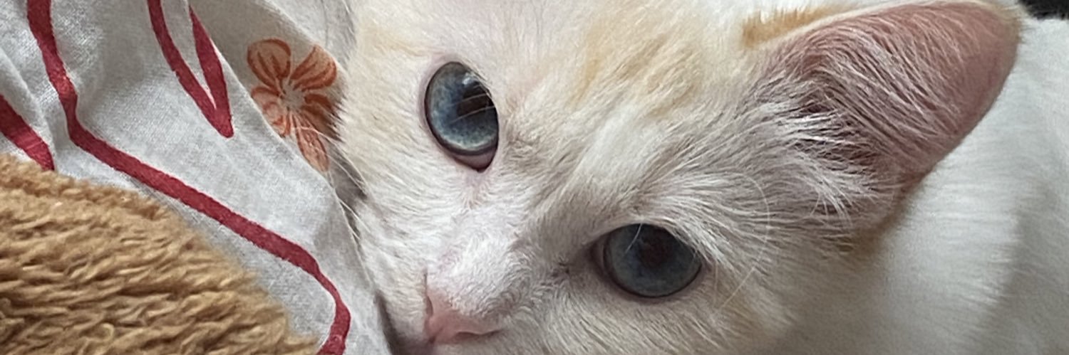 MonZerrat🍒 banner