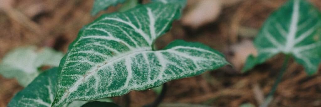 asprab_'s profile banner image