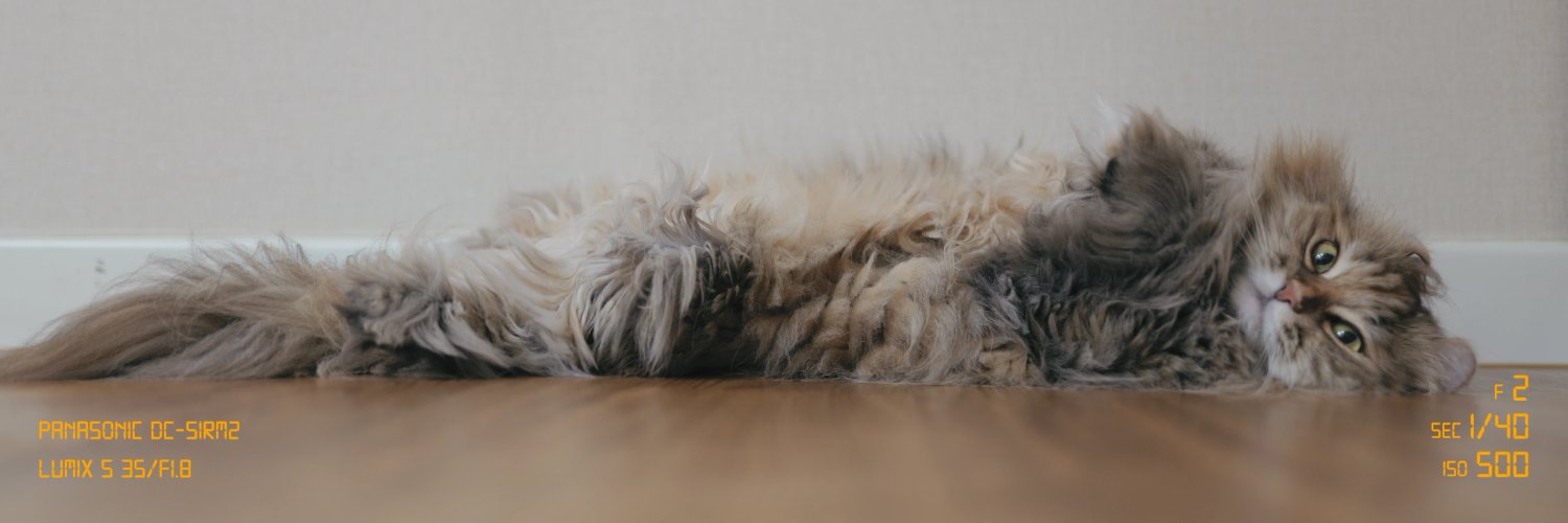PM_MATHCAT's profile banner image
