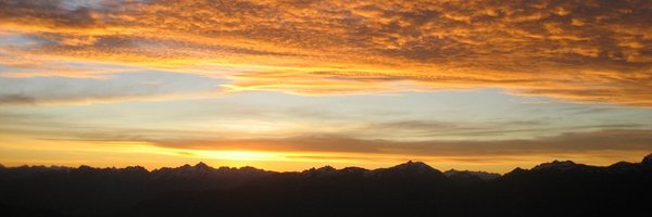 FeldblumJoseph Profile Banner