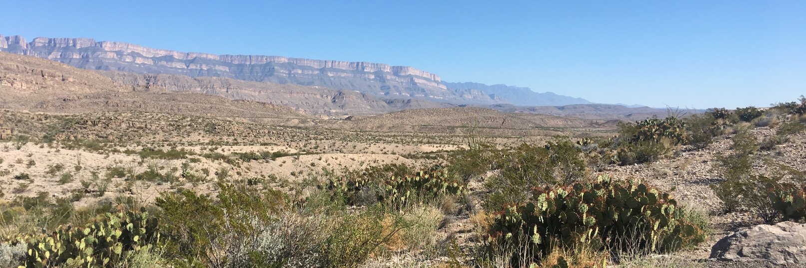 Ector County ISD Science banner