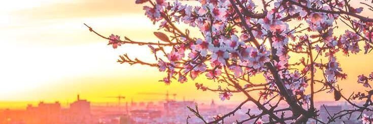 JohnsonSam98's profile banner image