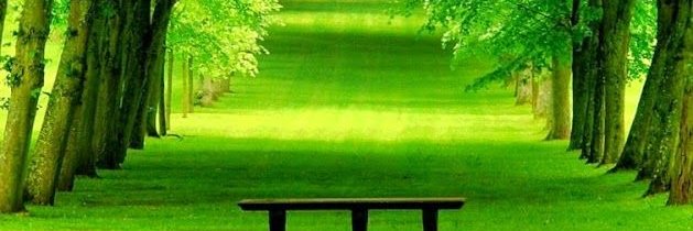 بدون banner