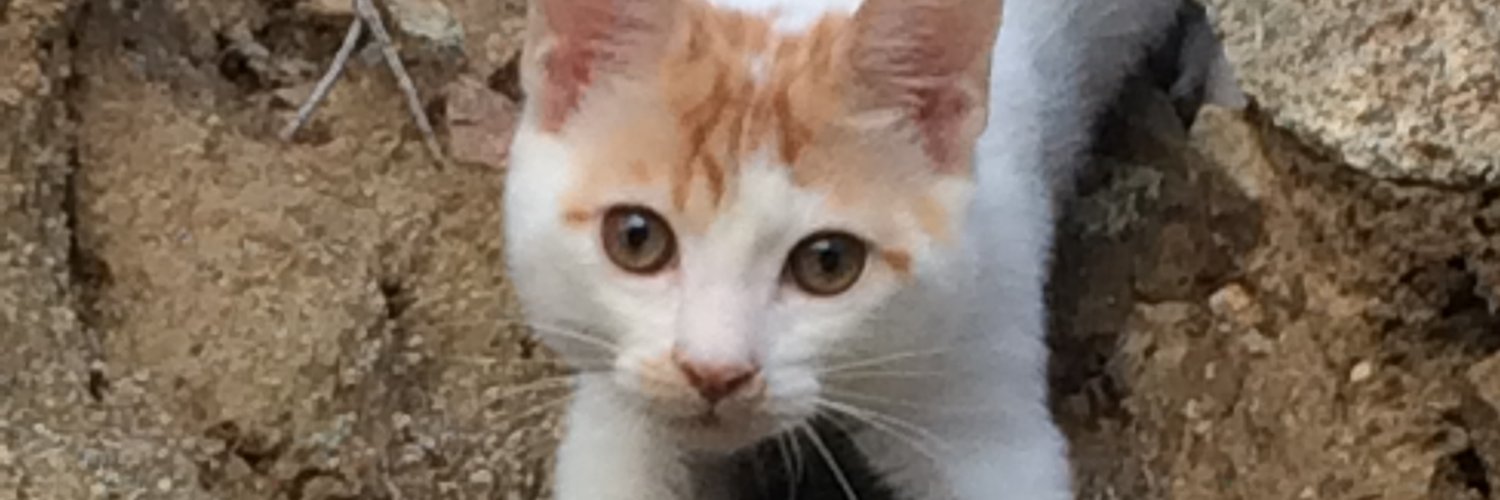 a_animals1's profile banner image