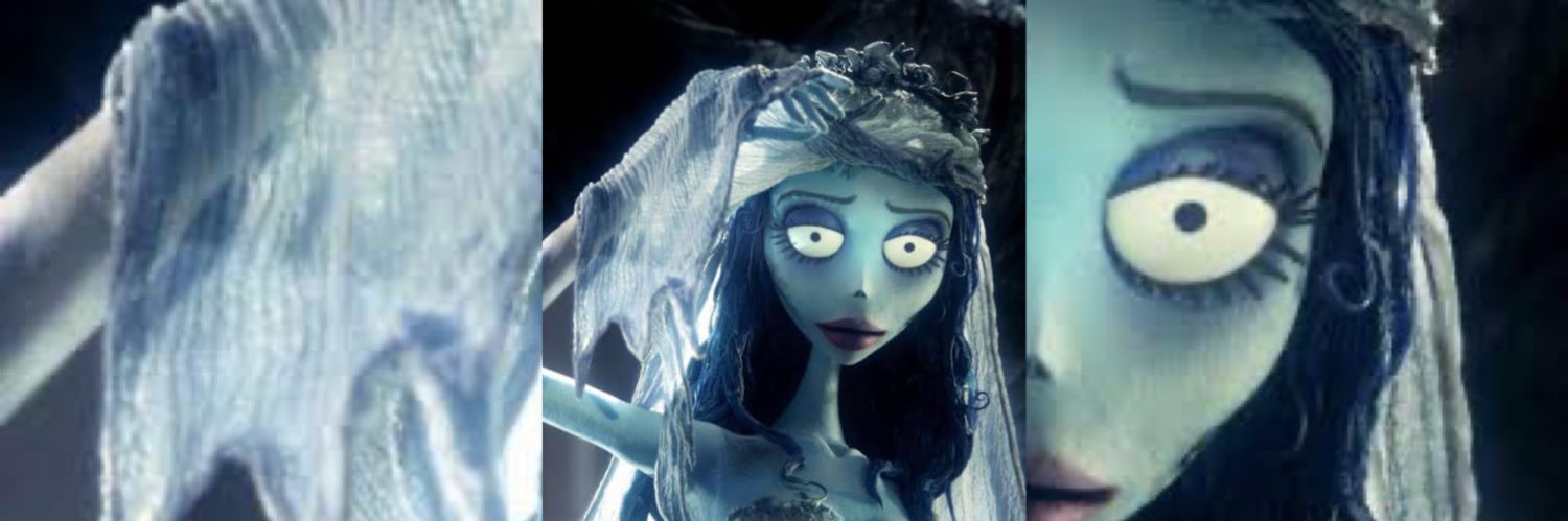 La Norteña Alunnada. banner