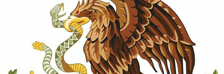 Catersorg's profile banner image