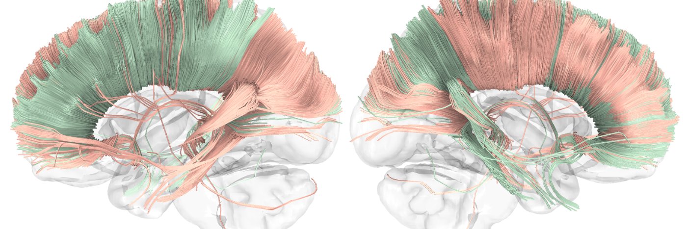 Sofi Cárdenas, PhD banner
