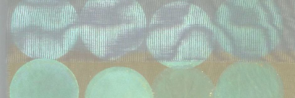 ssja banner