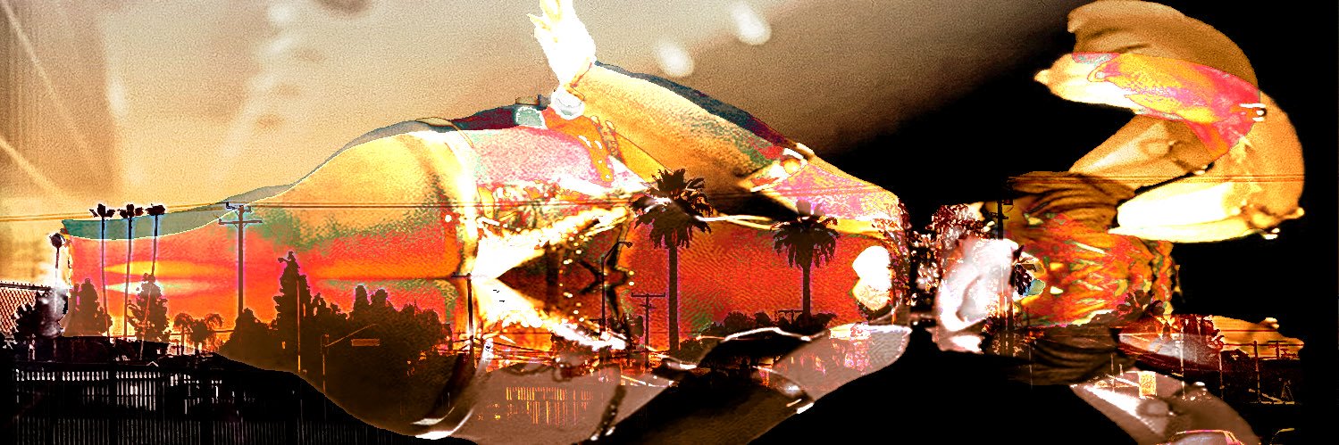 LucyFurTrap's profile banner image