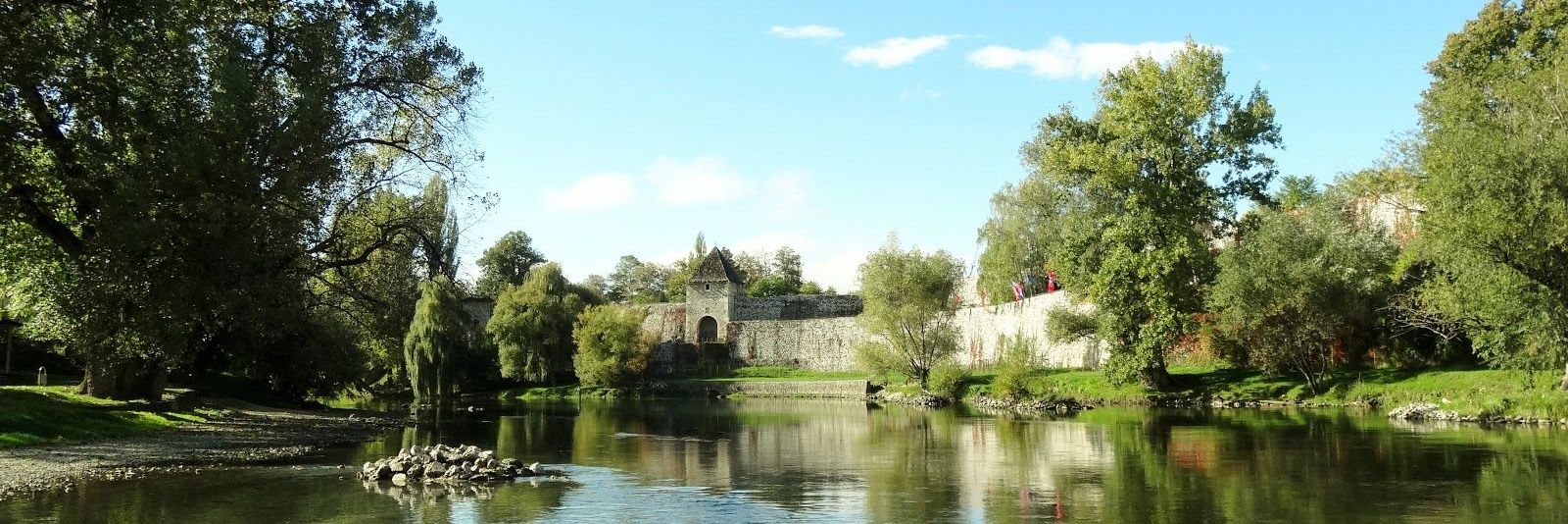 Бојан Шолаја banner