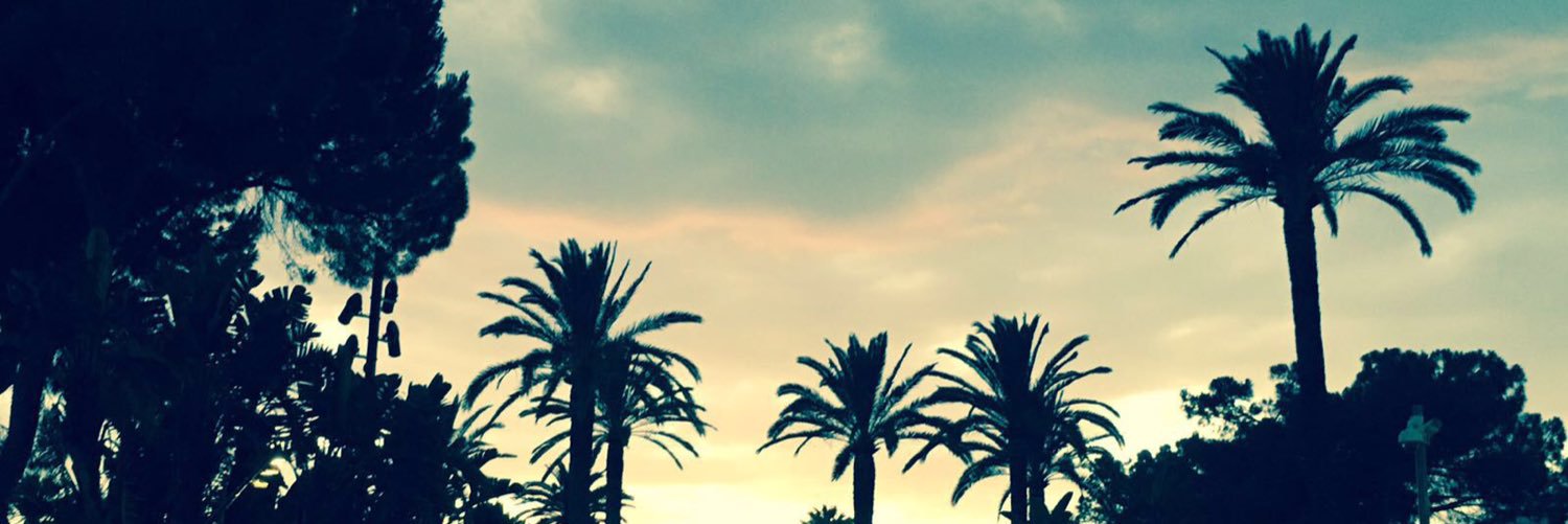 esalsborn's profile banner image