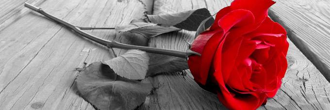 albdor11's profile banner image
