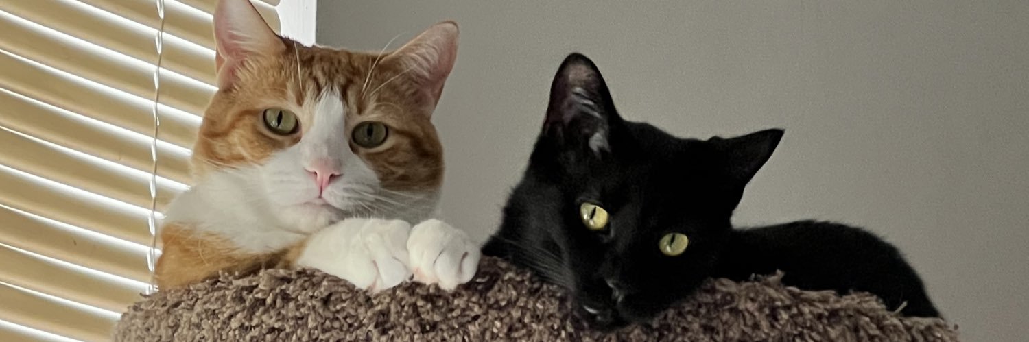 krdrn22's profile banner image