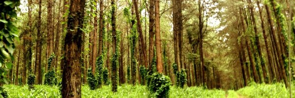 CrownKloof Profile Banner