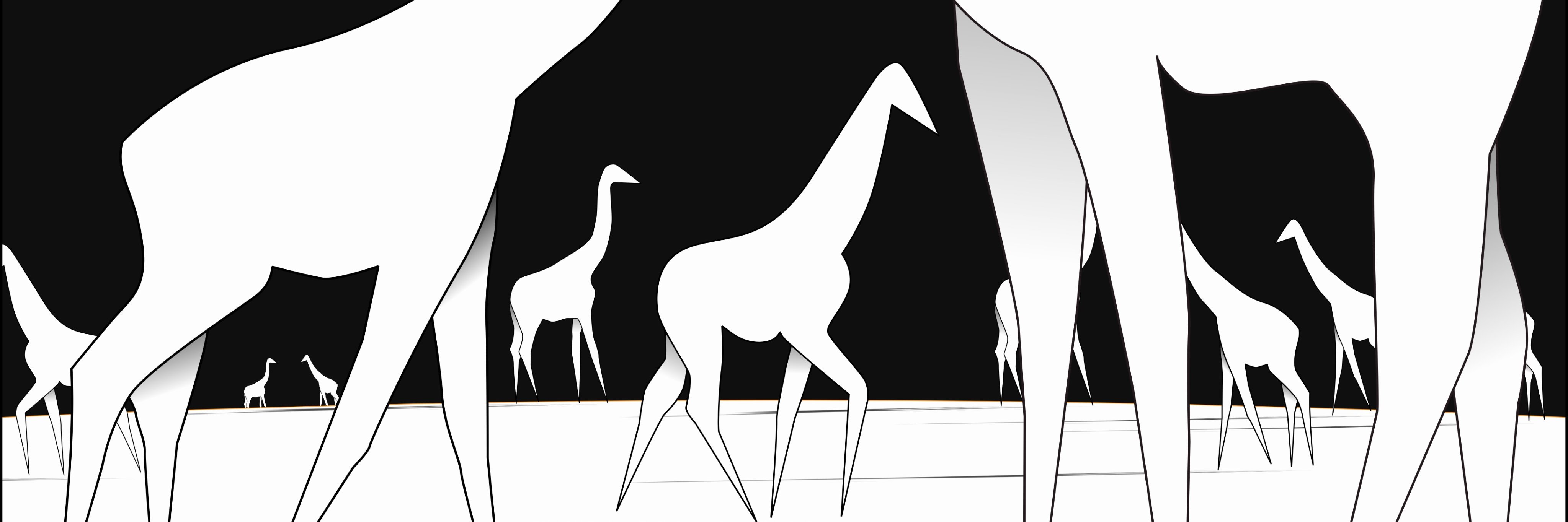 _riannoor's profile banner image