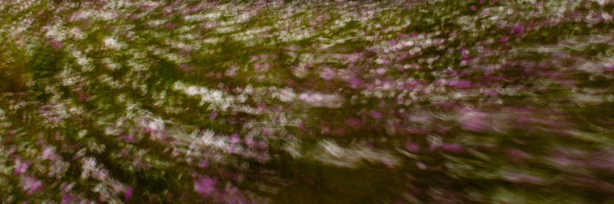 ArnoldManda's profile banner image