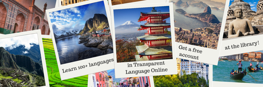 Slough Libraries banner