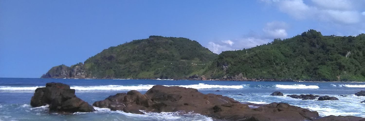 ningrumning's profile banner image