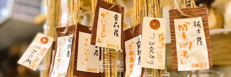 うどんスナック松ト麦｜井上こん banner