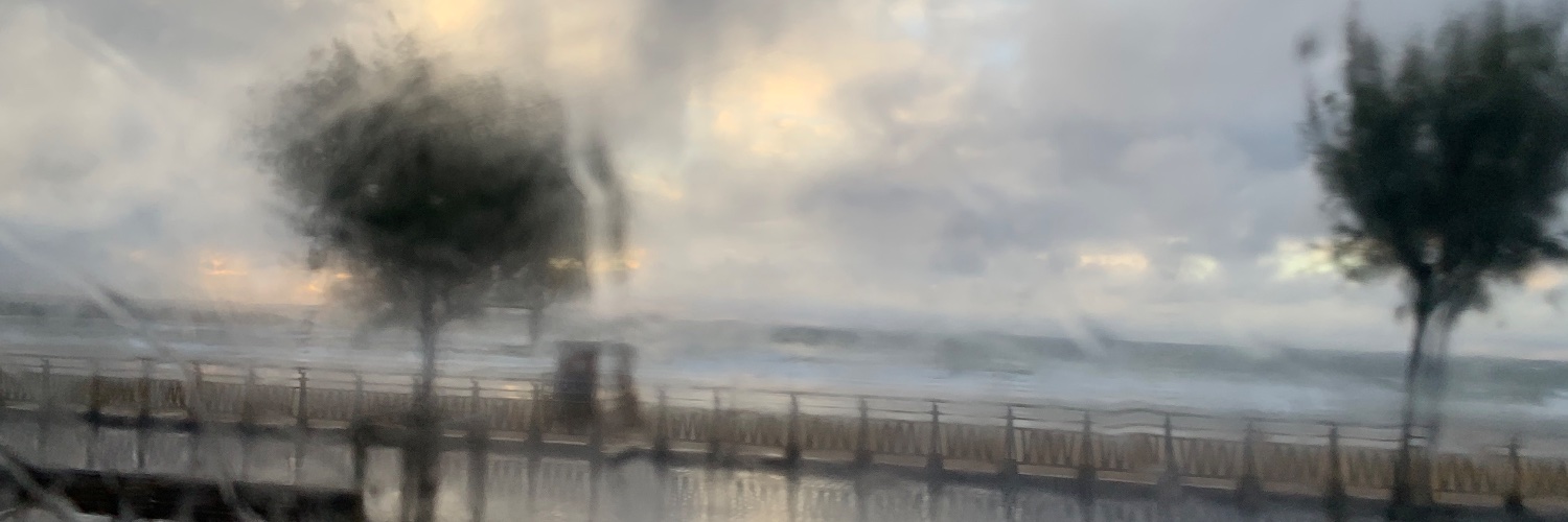 Maribel Izcue banner