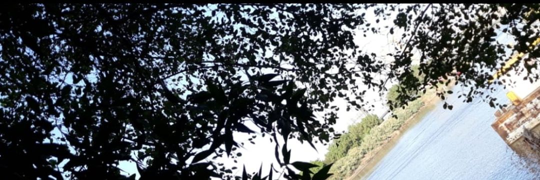 Muna_30's profile banner image