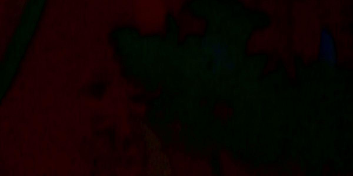 Exopcyeol's profile banner image