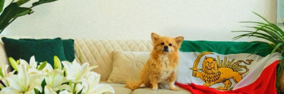 🧸 banner