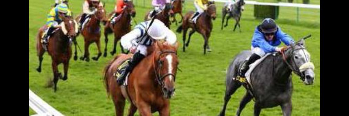 ander galdona banner