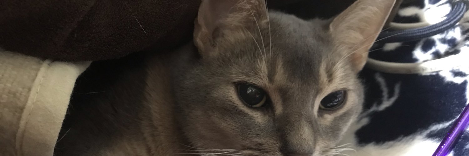 umafield's profile banner image