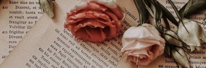 _IMOPHELIA's profile banner image