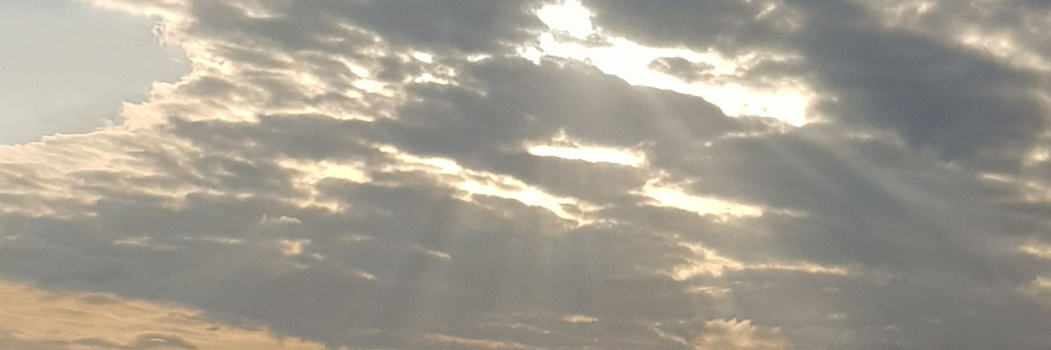 Mladen Marev 𝕏 banner