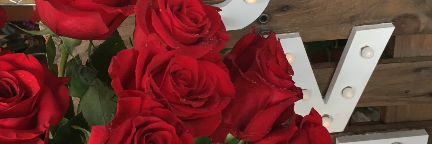 SyldaviaF's profile banner image